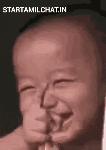 Haywirr3